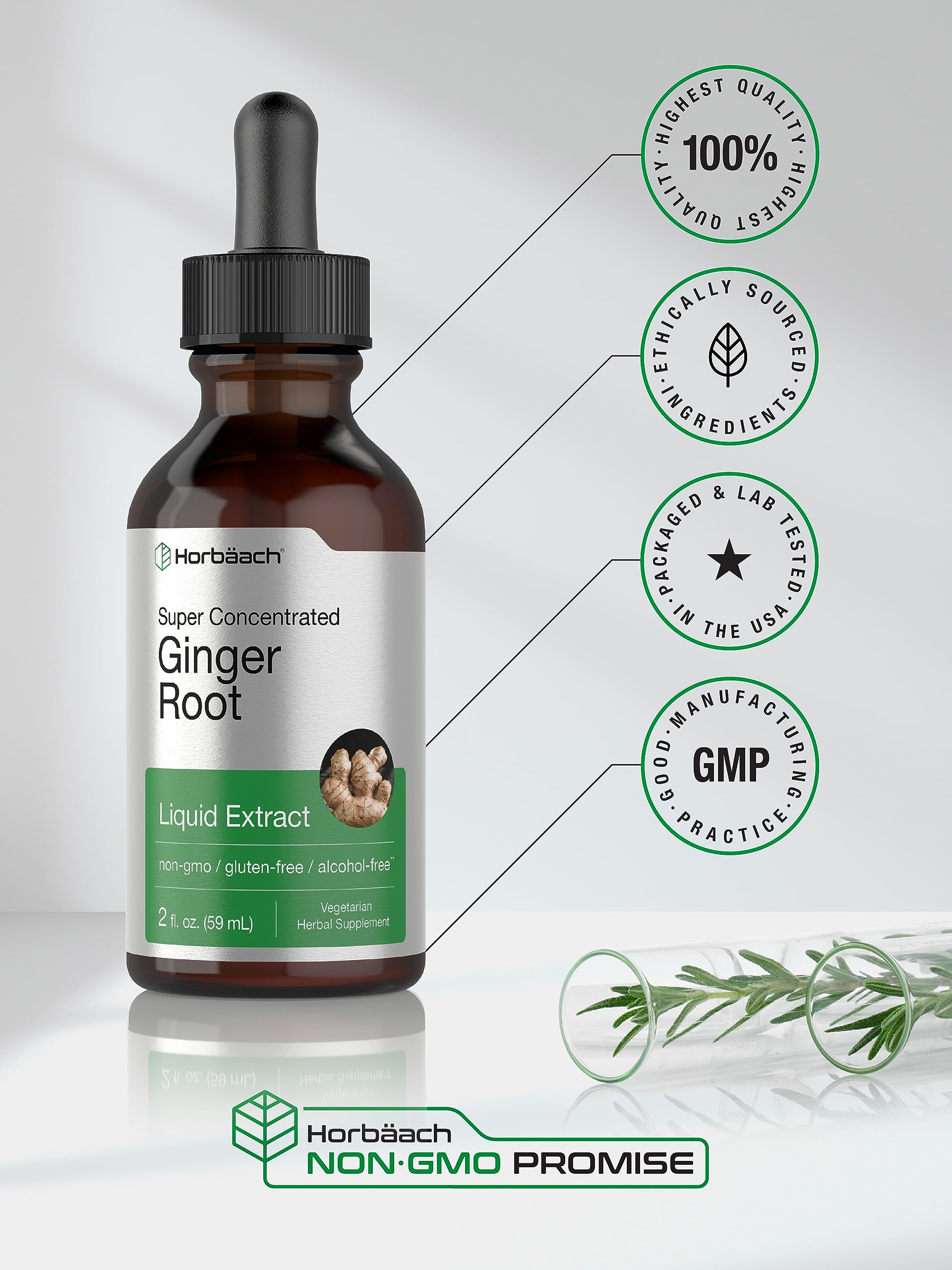 Horbäach Ginger Root Liquid Extract - 2 oz | Alcohol-Free, Gluten-Free, Non-GMO, Vegetarian