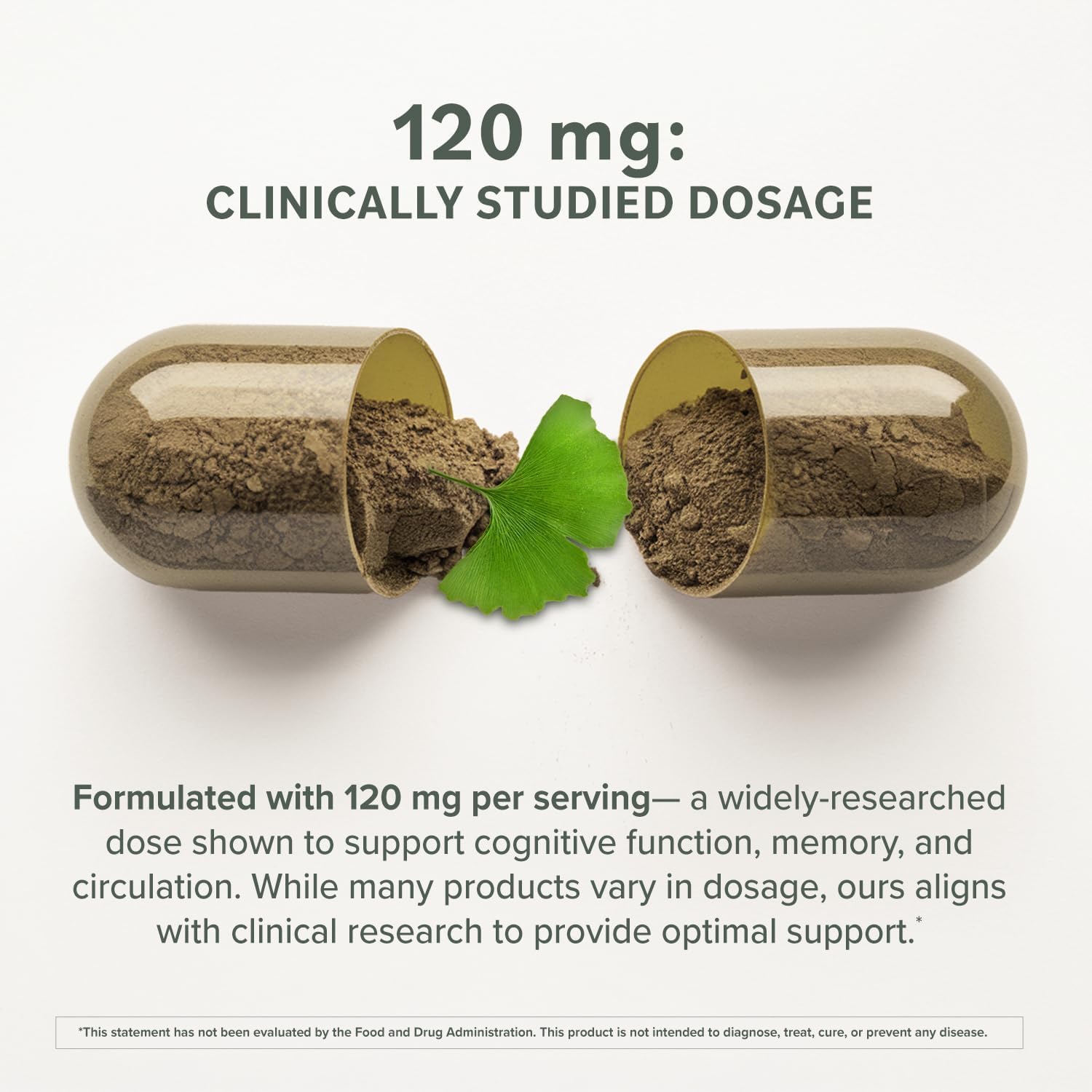 Prominent Ginkgo Biloba 120mg - Memory & Focus Support | Vegan, Non-GMO | 2-Pack