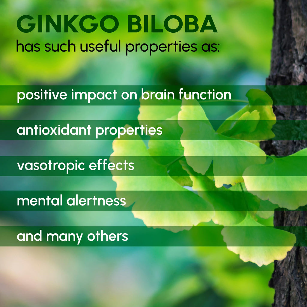 Ginkgo Biloba Powder 8 oz – Pure Natural Supplement for Brain Support & Mental Alertness | Filler Free