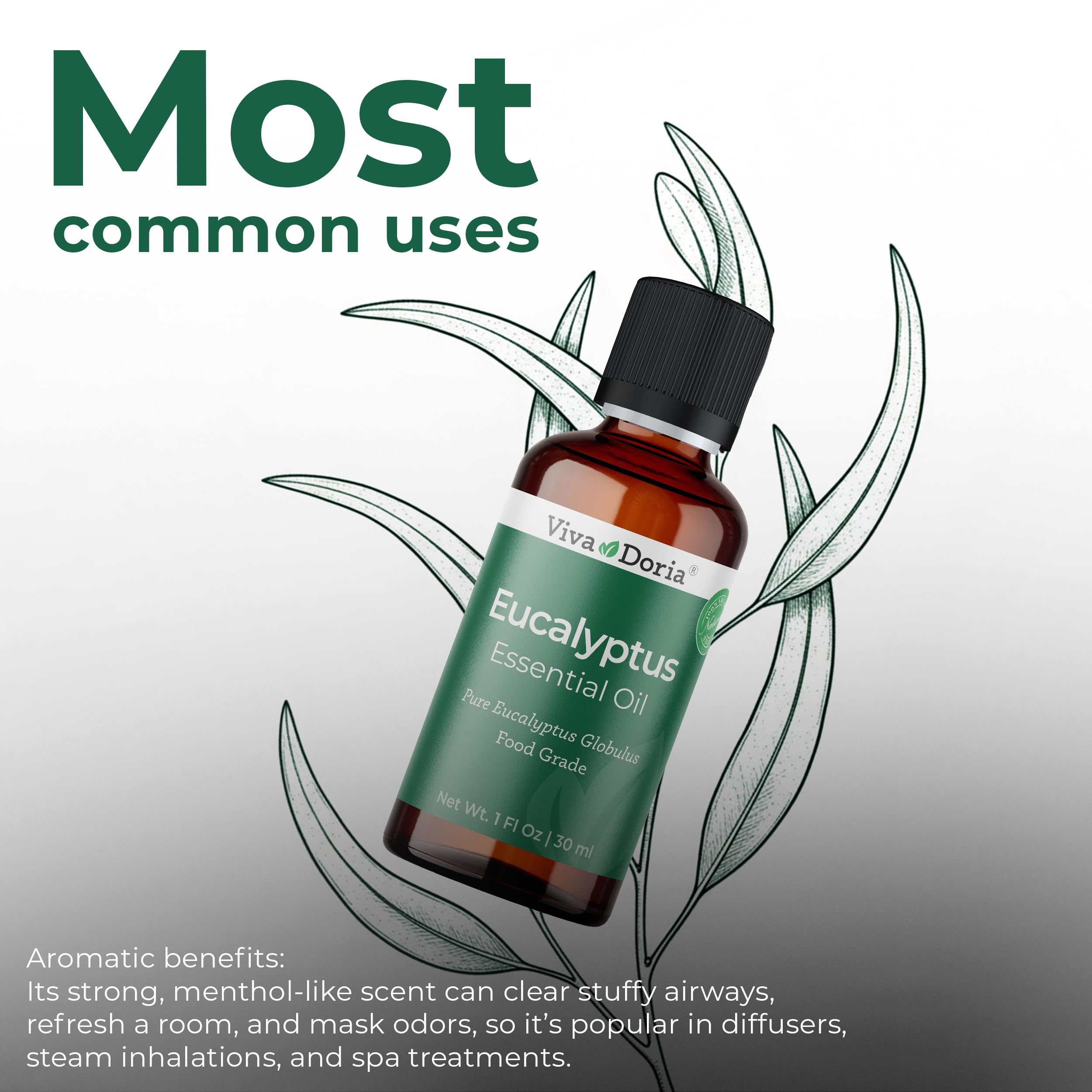Viva Doria Eucalyptus Essential Oil – 100% Pure, Food Grade, Globulus, 30 mL