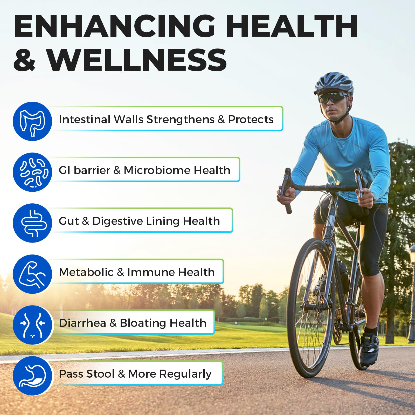 Akkermansia Probiotic with GLP-1 – 60 Capsules for Gut Health