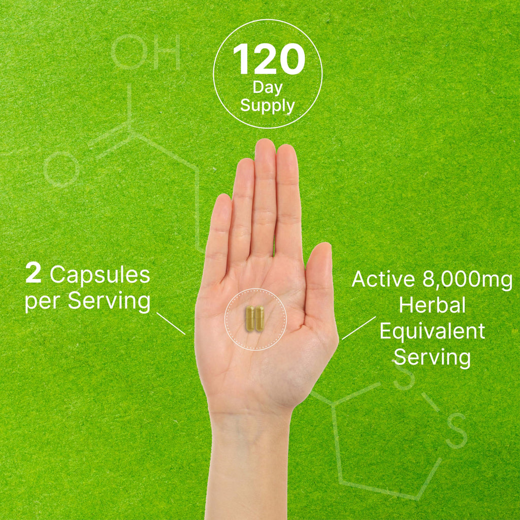 Organic 10-in-1 Mushroom Supplement – 240 Capsules – Immune & Nootropic Support (Non-GMO)