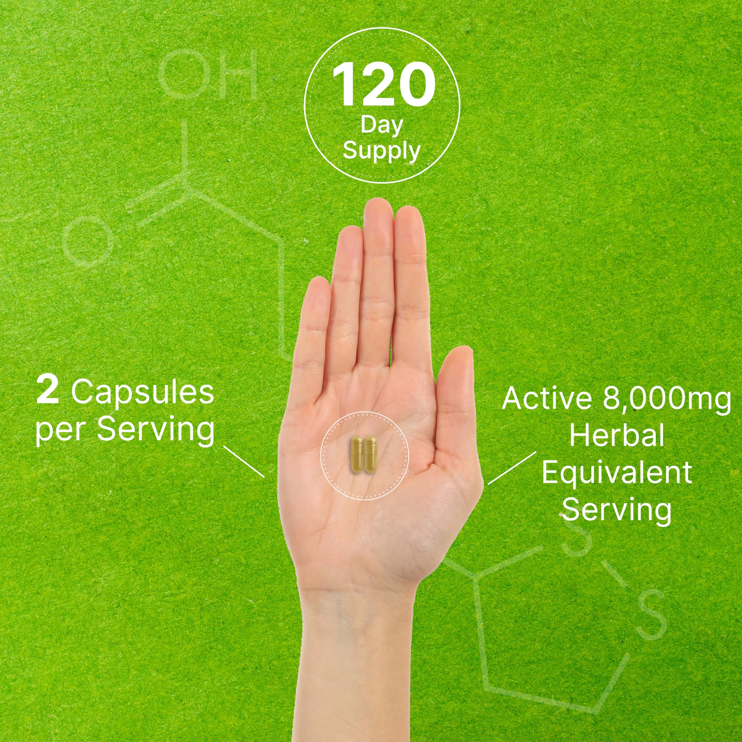 Organic 10-in-1 Mushroom Supplement – 240 Capsules – Immune & Nootropic Support (Non-GMO)