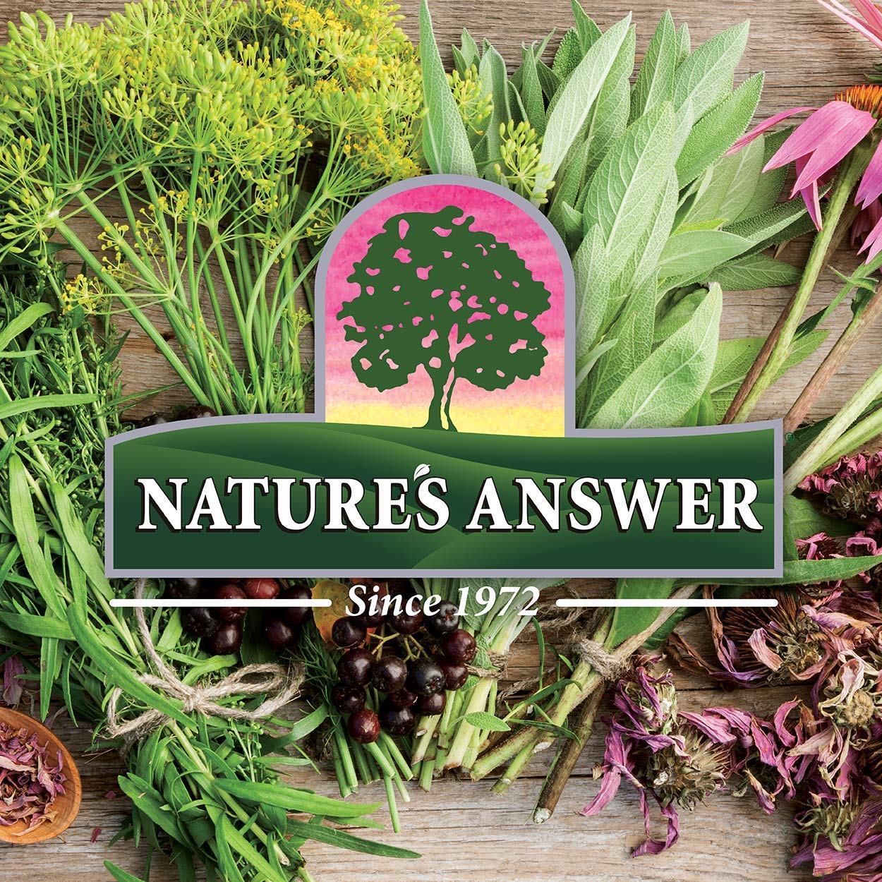Nature's Answer Oil of Oregano Leaf – Supports Digestive Health | Gluten-Free, Alcohol-Free | 1oz
