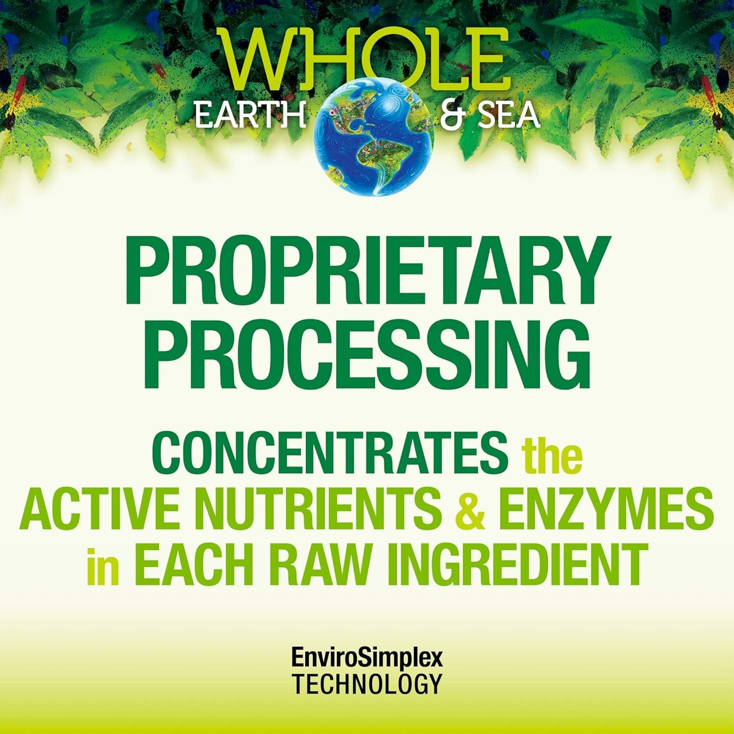 Whole Earth & Sea Organic Fermented Protein & Greens – Vanilla Chai