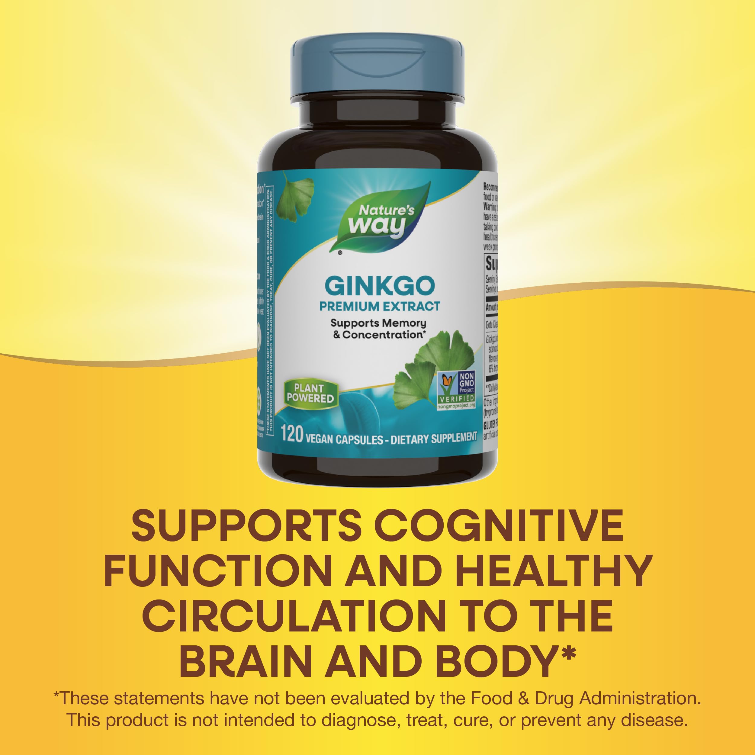 Nature's Way Premium Ginkgo Memory & Concentration – 120 Capsules
