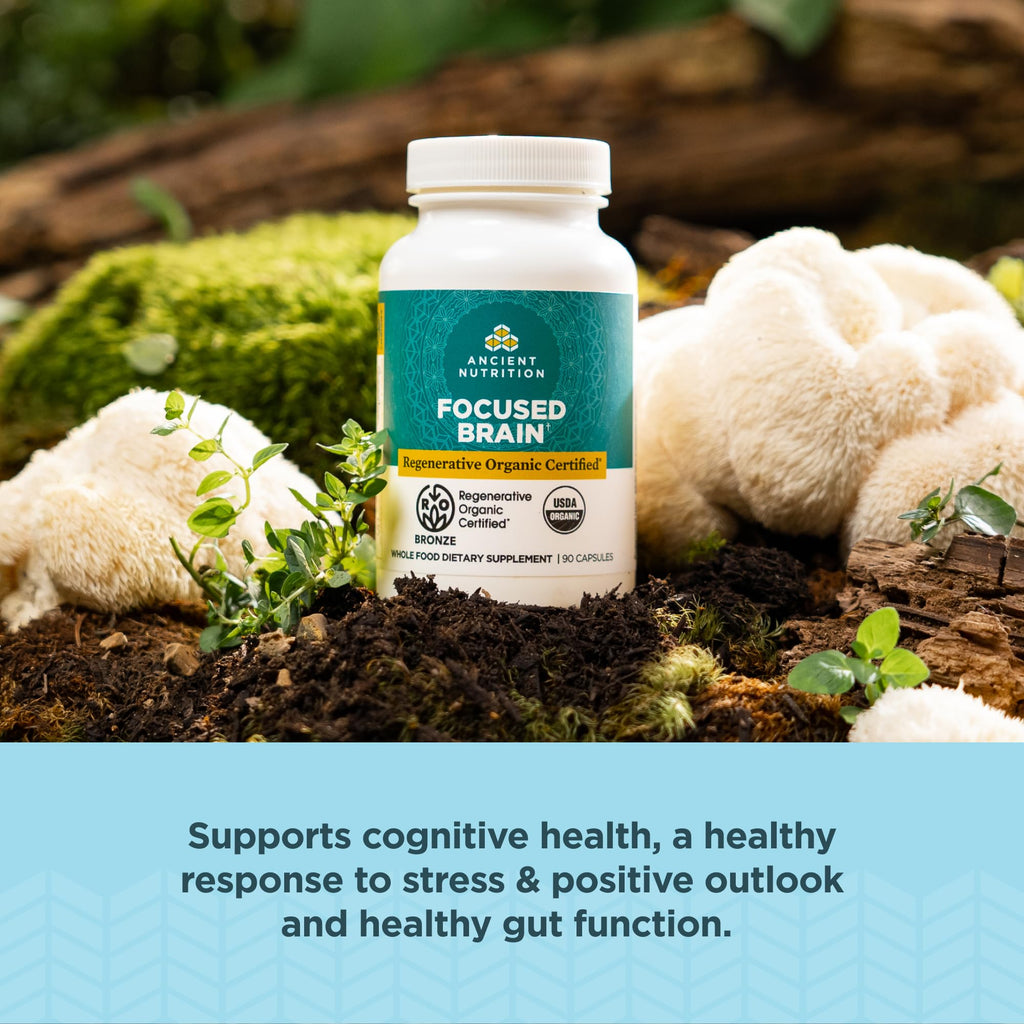 Ancient Nutrition Regenerative Organic Certified Focused Brain Capsules - Ginkgo Leaf & Lion's Mane, Gluten Free, Paleo & Keto (90 Count)