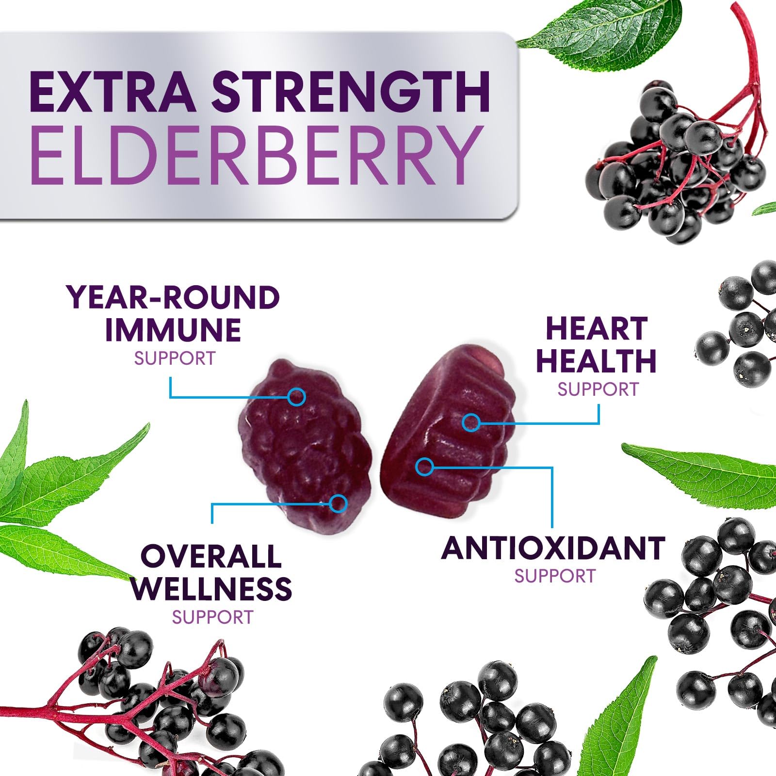 Elderberry Gummies with Vitamin C, D3 & Zinc – Immune Support for Kids & Adults (120 Gummies)