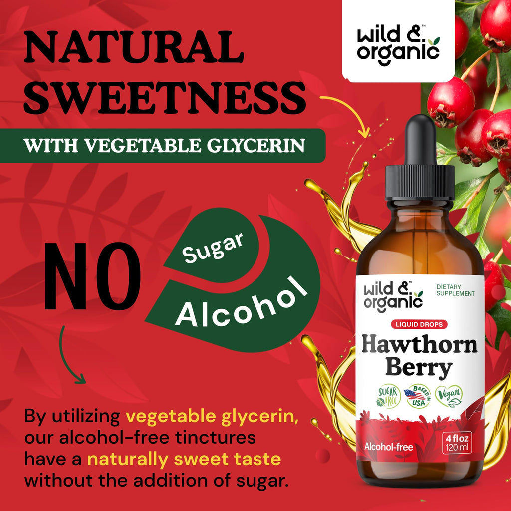 Wild & Organic Hawthorn Berry Tincture 600 mg – Vegan, Alcohol-Free Liquid Drops, 4 fl oz