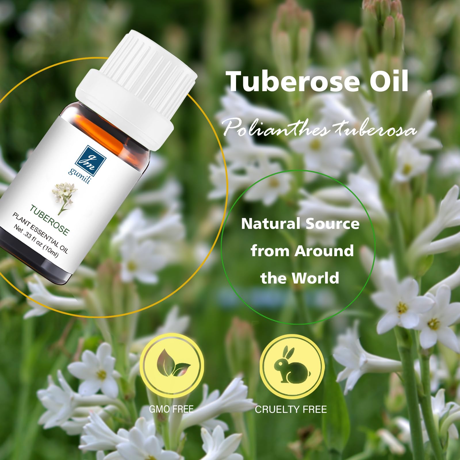 GM Gumili Tuberose Essential Oil – 10mL Undiluted, Organic, Pure Natural Fragrance for Aromatherapy, Perfume Making, Candles, Soap & Diffuser Blends
