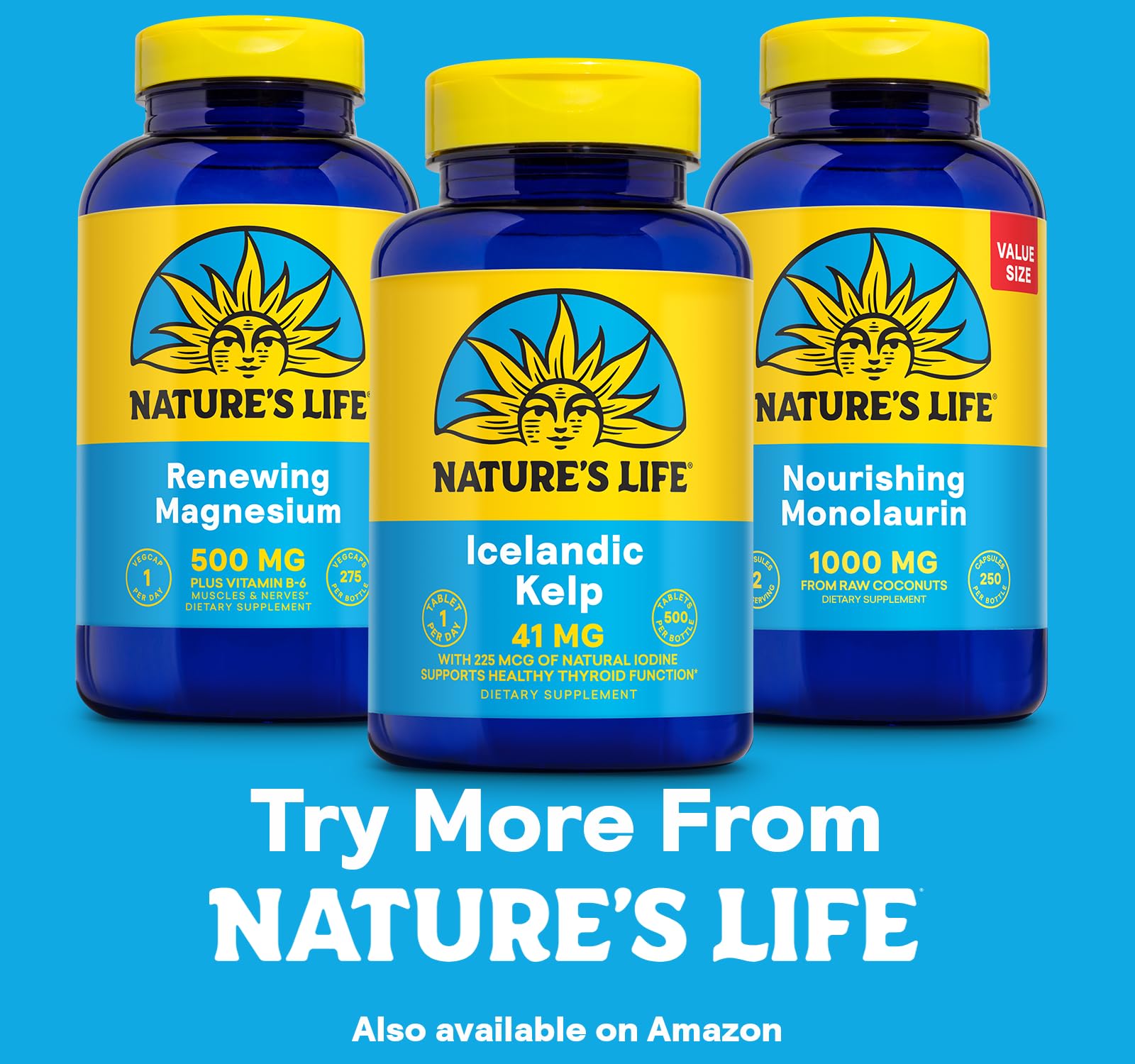 Nature’s Life Icelandic Kelp 41 mg Tablets – Iodine Supplement & Thyroid Support | Gluten Free, Non-GMO