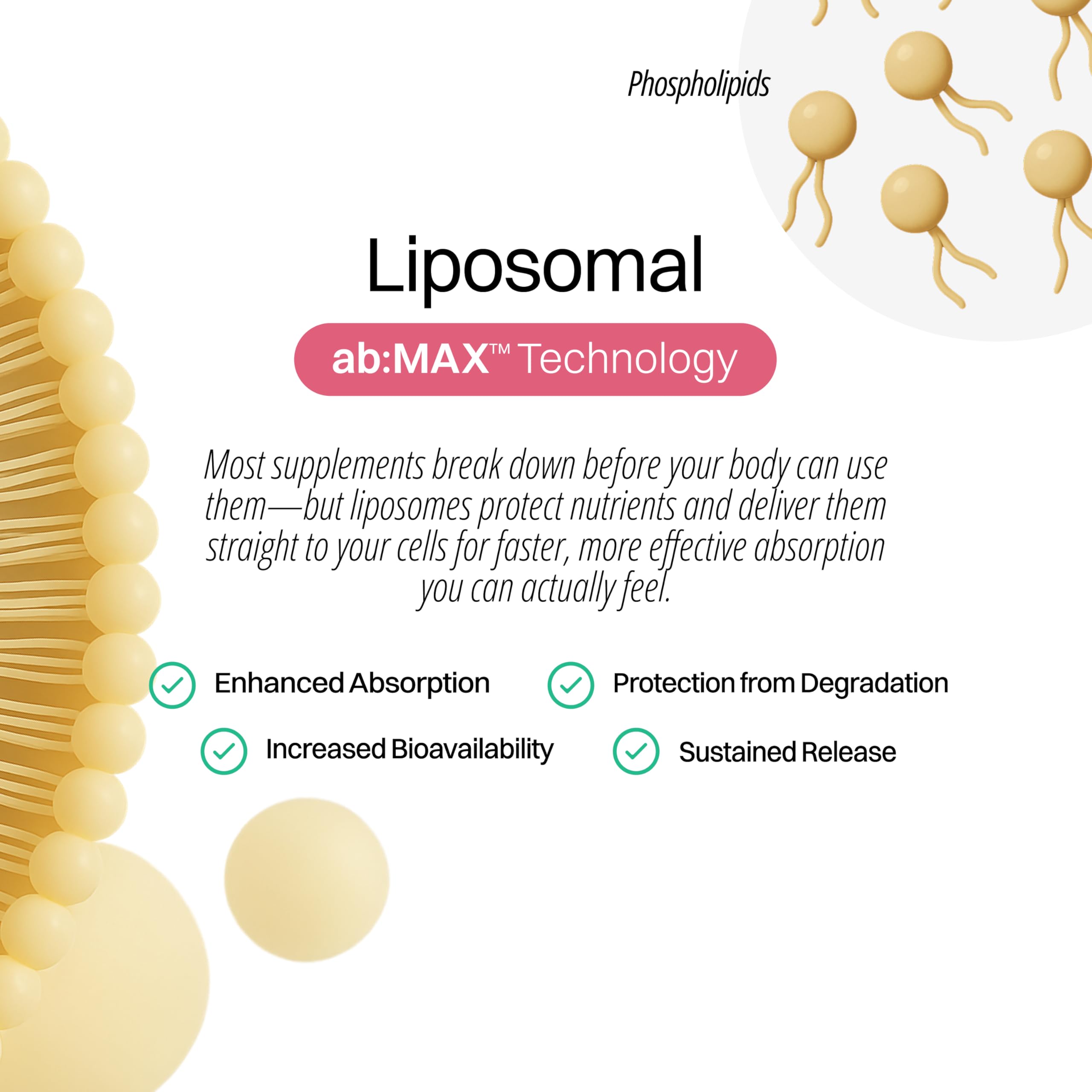 Liposomal Marine Collagen Powder Packets 2100mg – Sugar-Free, Vitamin C 190mg, Peach Pomegranate – 30 Packets