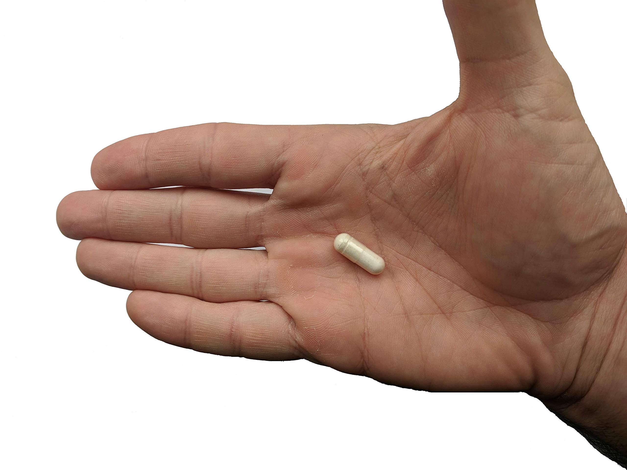 Premium Probiotic + Ultimate Prebiotic – Gut Biome Builder (4.4B CFU, Bacillus Subtilis)