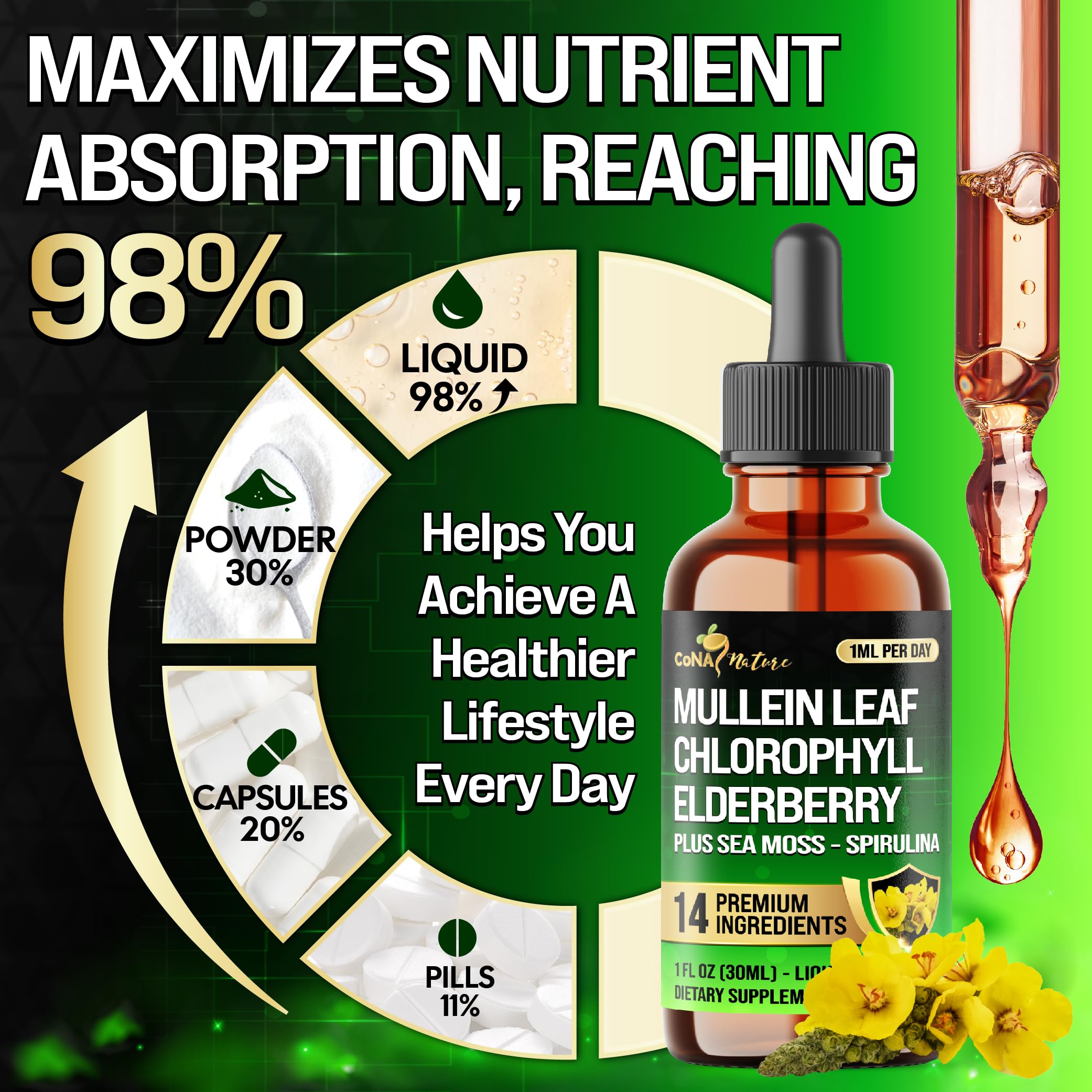14in1 Mullein Liquid Drops – Immune & Respiratory Support, 30-Day, 1 fl oz