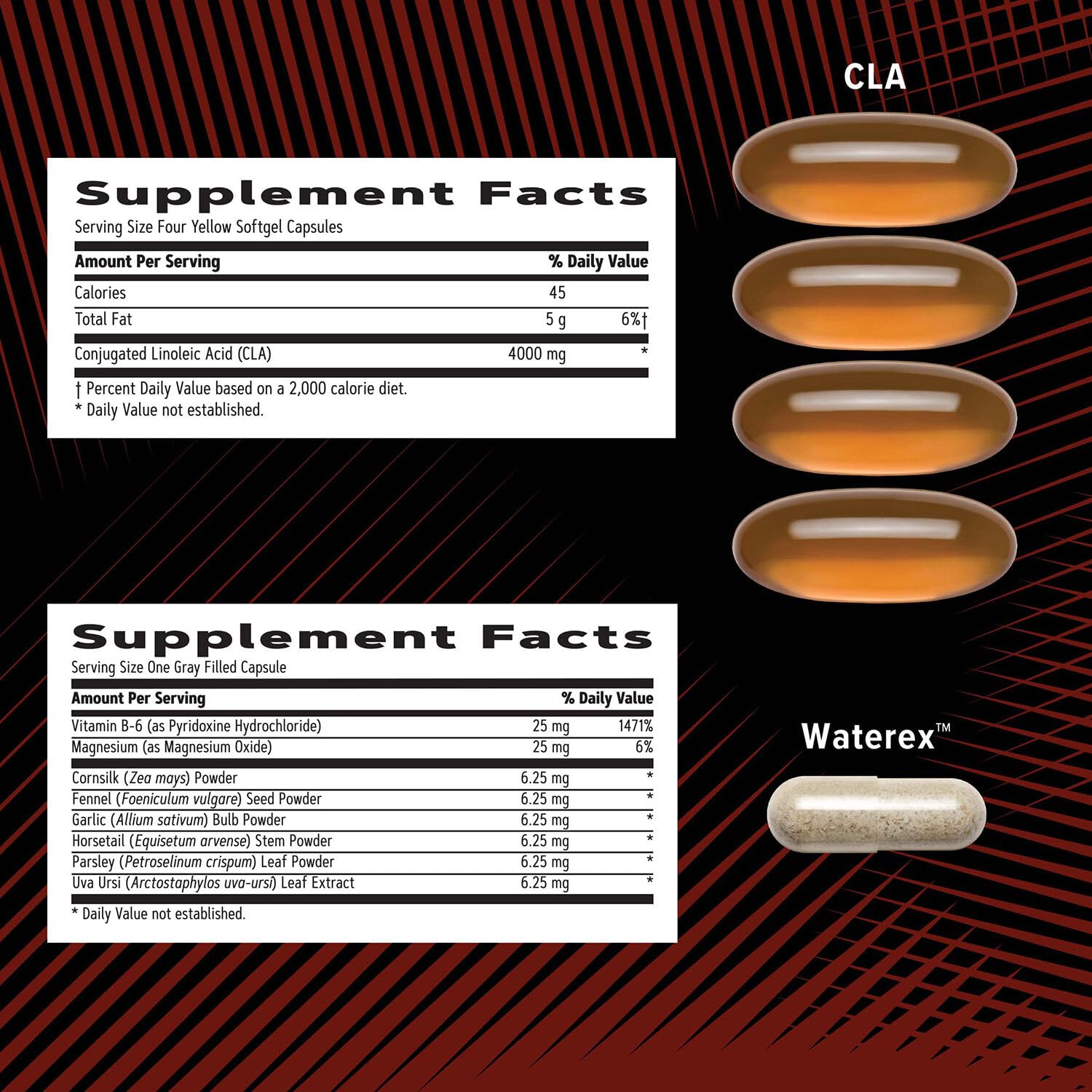 GNC AMP Men’s Ripped Vitapak Program — 4-in-1 Metabolism & Lean Muscle Support | 30-Day Supply
