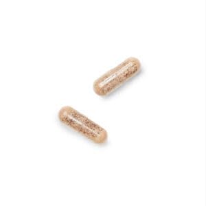 GNC Gentlesorb Iron 18mg Supplement – 90 Servings (Pack of 2)