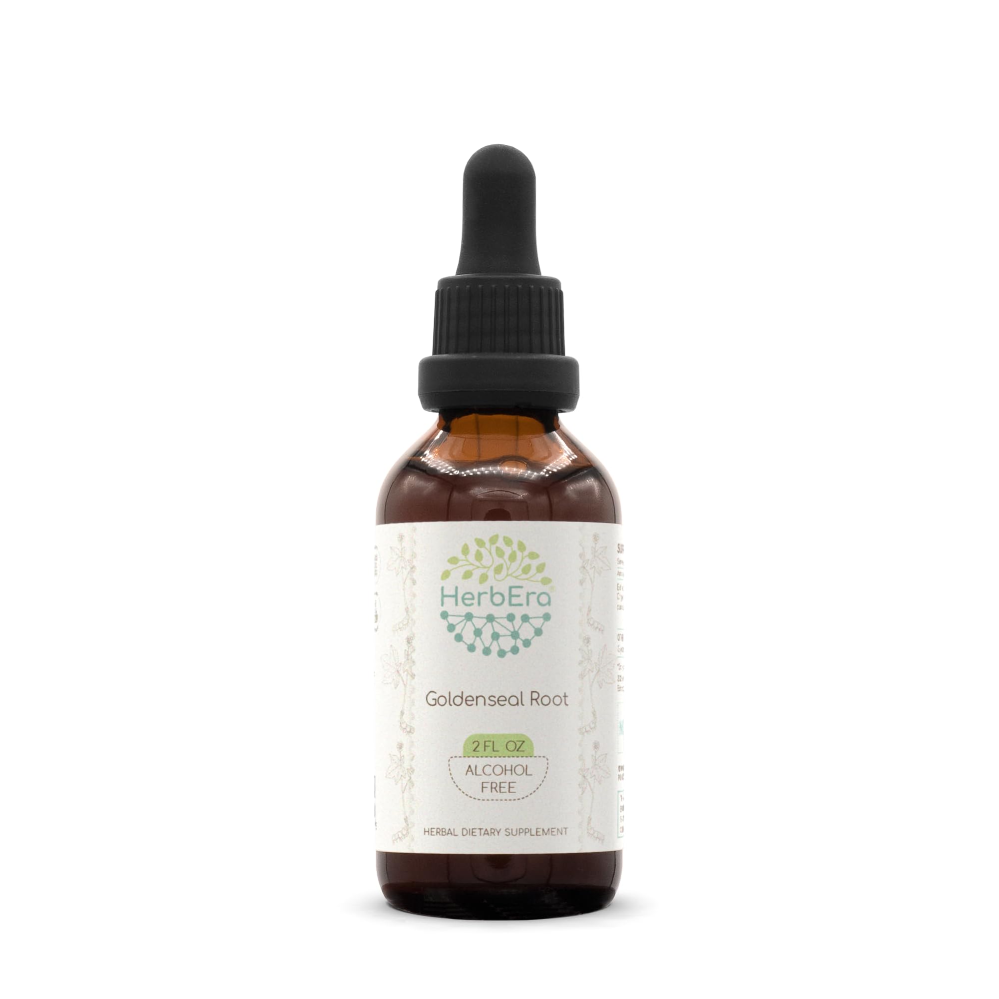HerbEra Goldenseal Root B60 Alcohol-Free Tincture - 2 fl oz