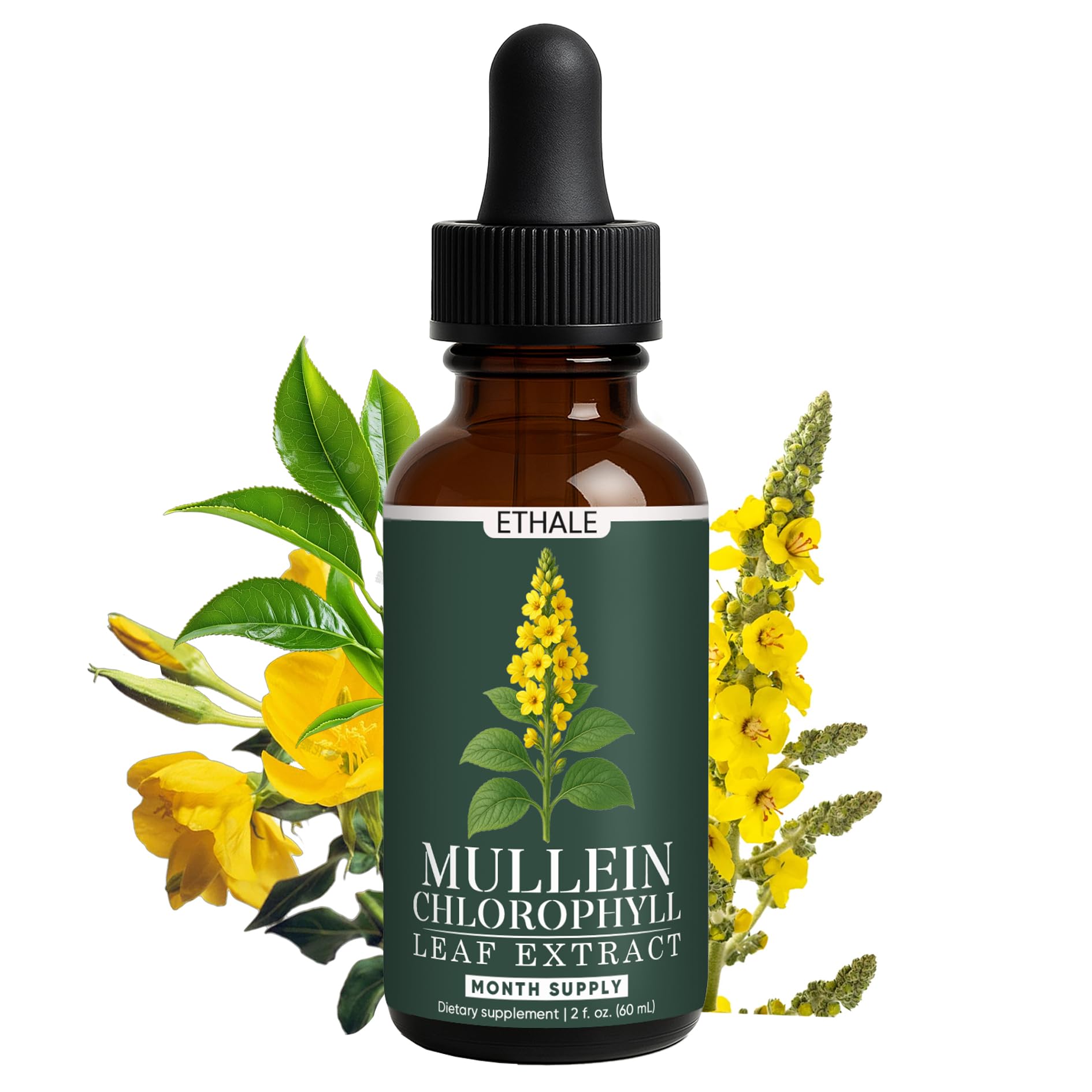 GOOVIP ETHALE Mullein Drops for Lungs – Respiratory Support & Lung Detox