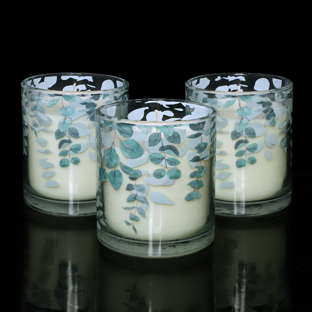 GORGE MOMENT Eucalyptus Scented Candles – 6.5oz Set of 3, Green Glass with Eucalyptus Leaf Design