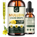 GORNVB Mullein Drops for Lungs (2 Pack) - Respiratory Support & 4 in 1 Mullein Leaf Extract | 1 Fl Oz