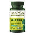 Banyan Botanicals Gotu Kola (Centella Asiatica) – Organic Adaptogen & Nootropic Brain Support | 90 Tablets | Vegan & Fairly Traded