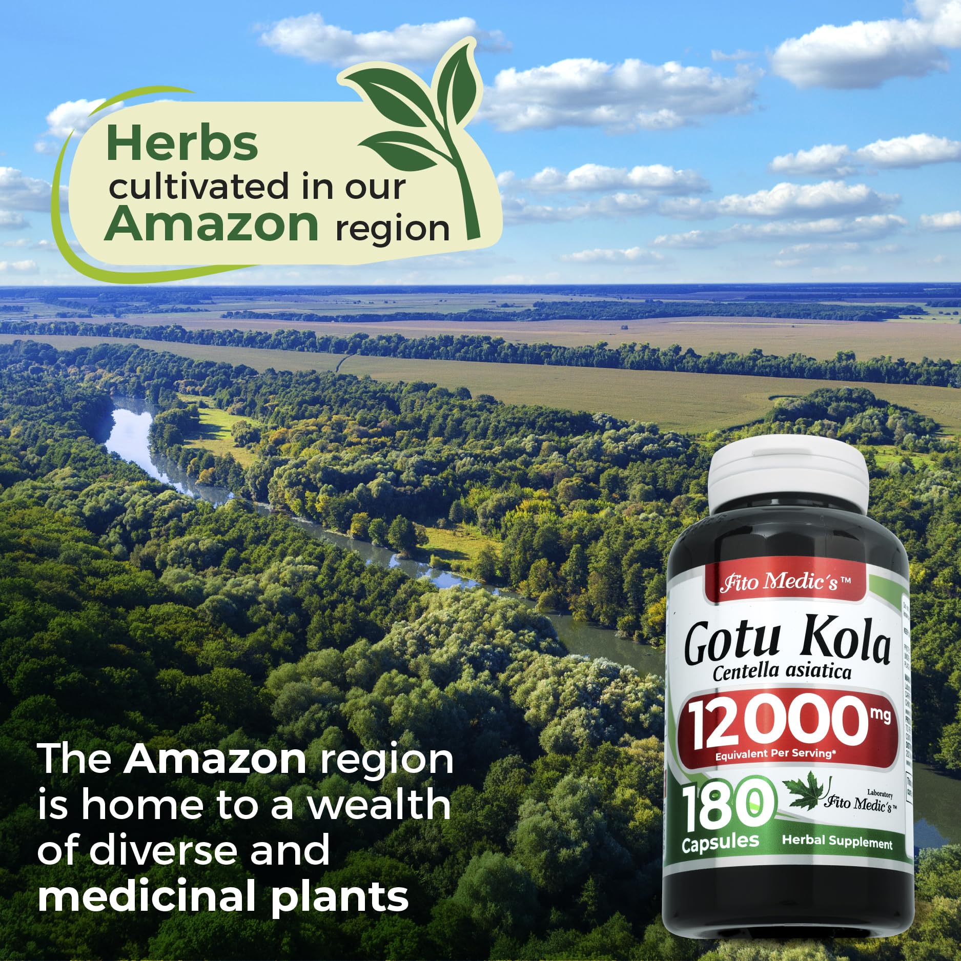 FITO MEDIC'S Lab Gotu Kola (Centella Asiatica) - 180 Capsules | Ultra High Absorption