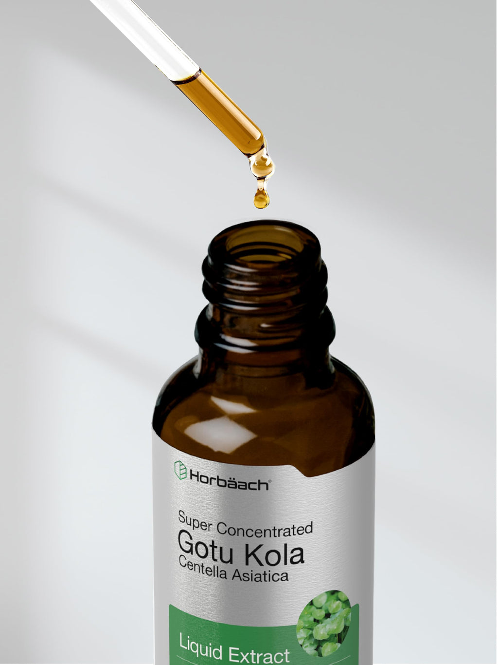 Gotu Kola Extract 2 fl oz Alcohol-Free Liquid Supplement | Horbaach