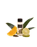 Graceland 50mL Fragrance Oil – Elegant Space Scent