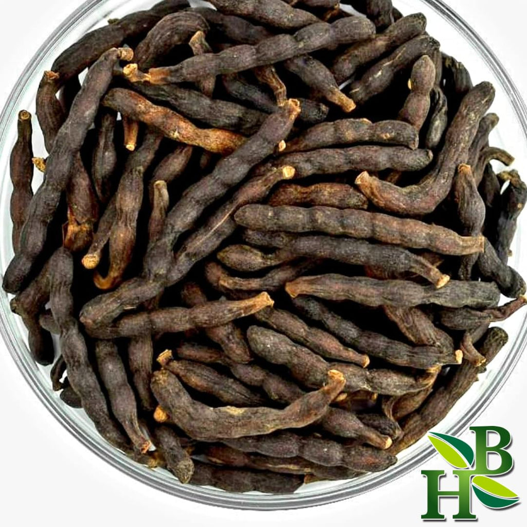 Herb To Body Hwentia Whole | Xylopia Aethiopica (Grains of Selim) 4oz Wildcrafted