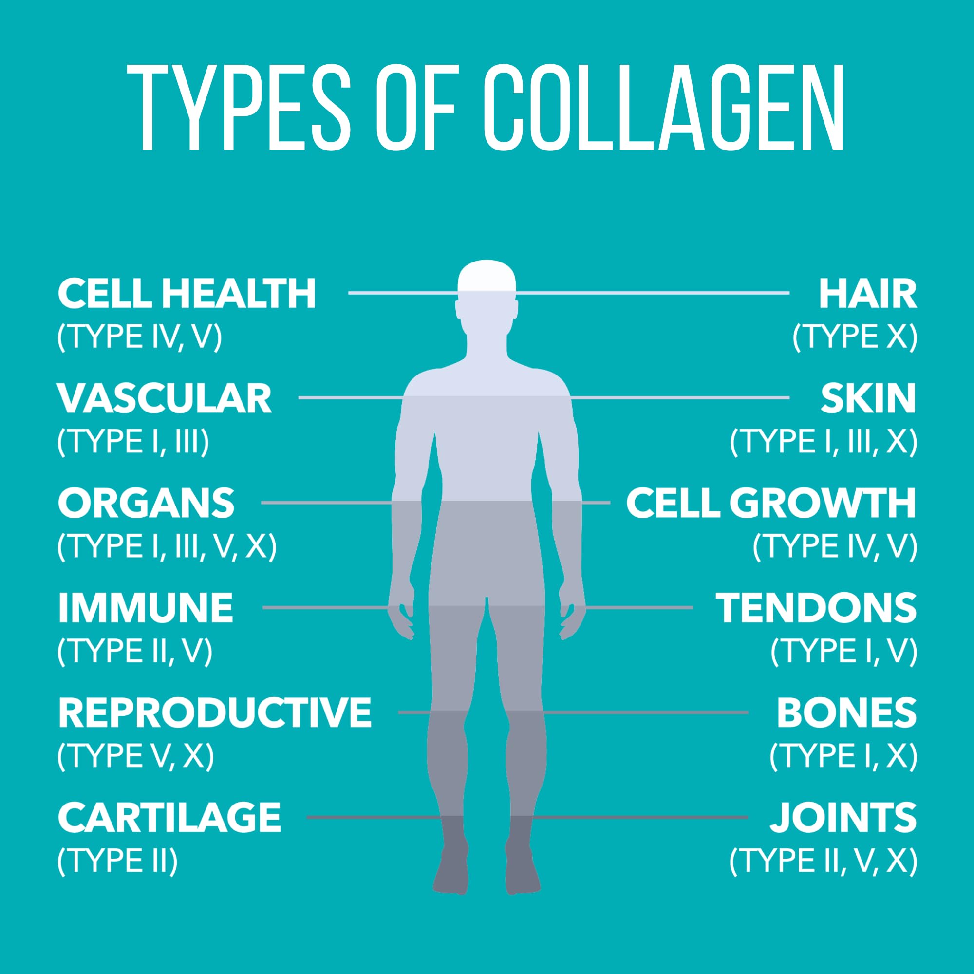 Natures Plus Collagen Peptides - 20 Stick Packets | Hair, Skin, Nail & Joint Health, Immune Support