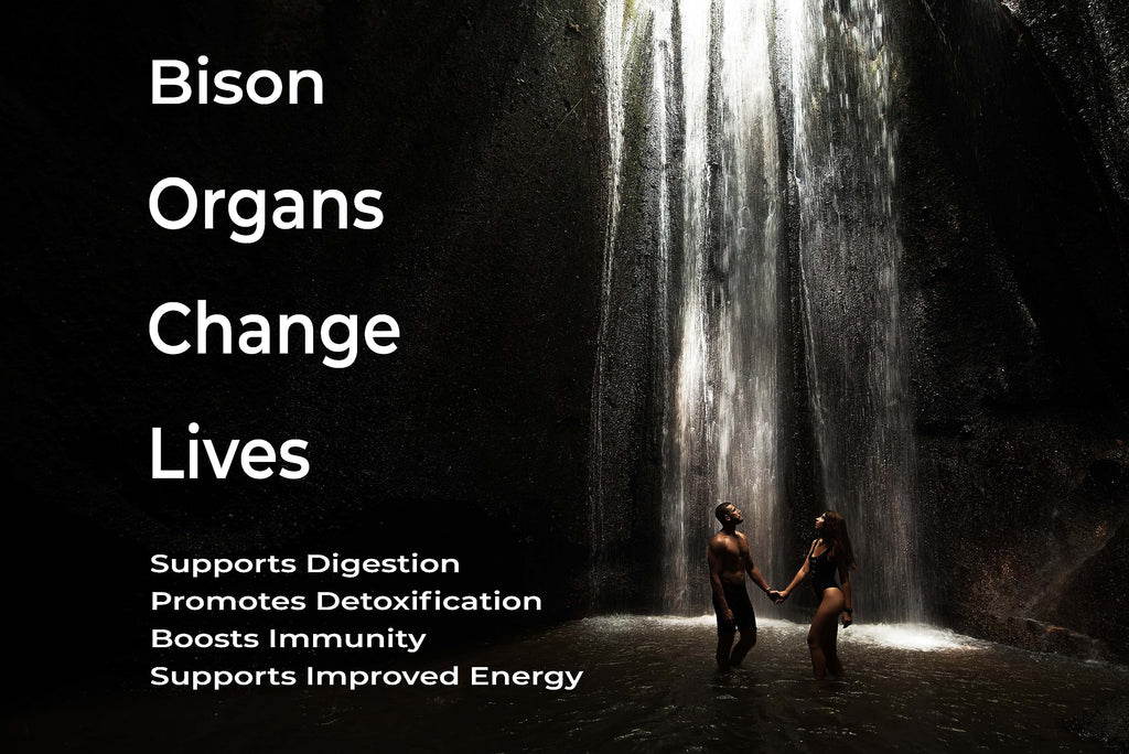 Grass Fed Bison Organ Supplement – Liver, Heart & Kidney | Non-GMO | 180 Capsules