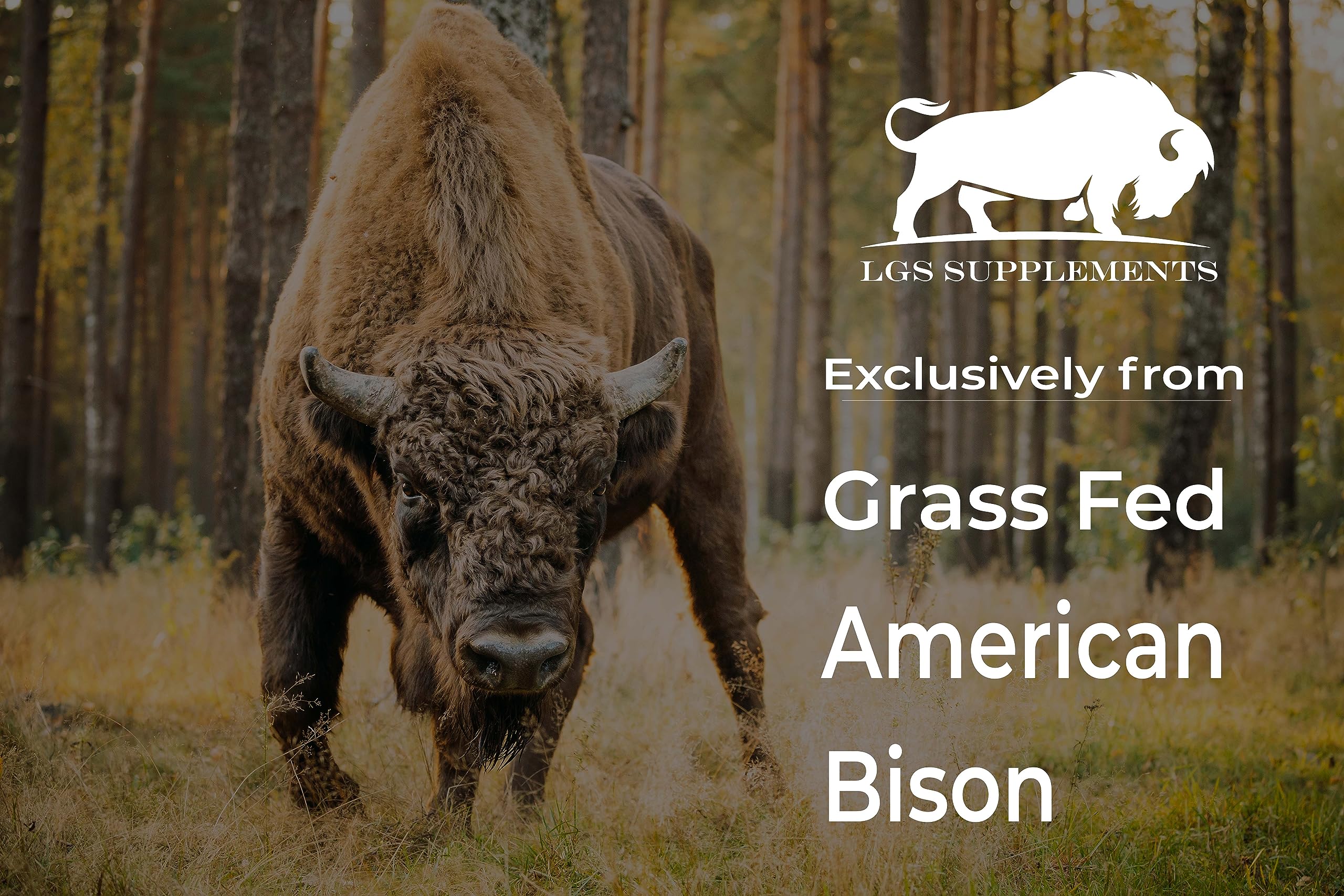 Grass Fed Bison Organ Supplement – Liver, Heart & Kidney | Non-GMO | 180 Capsules