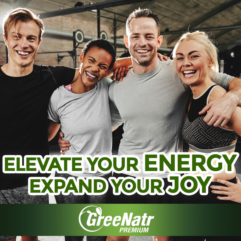 GreeNatr Ginkgo Biloba & Panax Ginseng – 120 Tablets | Brain Health