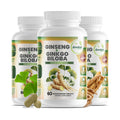 GreeNatr Ginko Biloba & Panax Ginseng – Brain Support & Focus (3 Bottles)