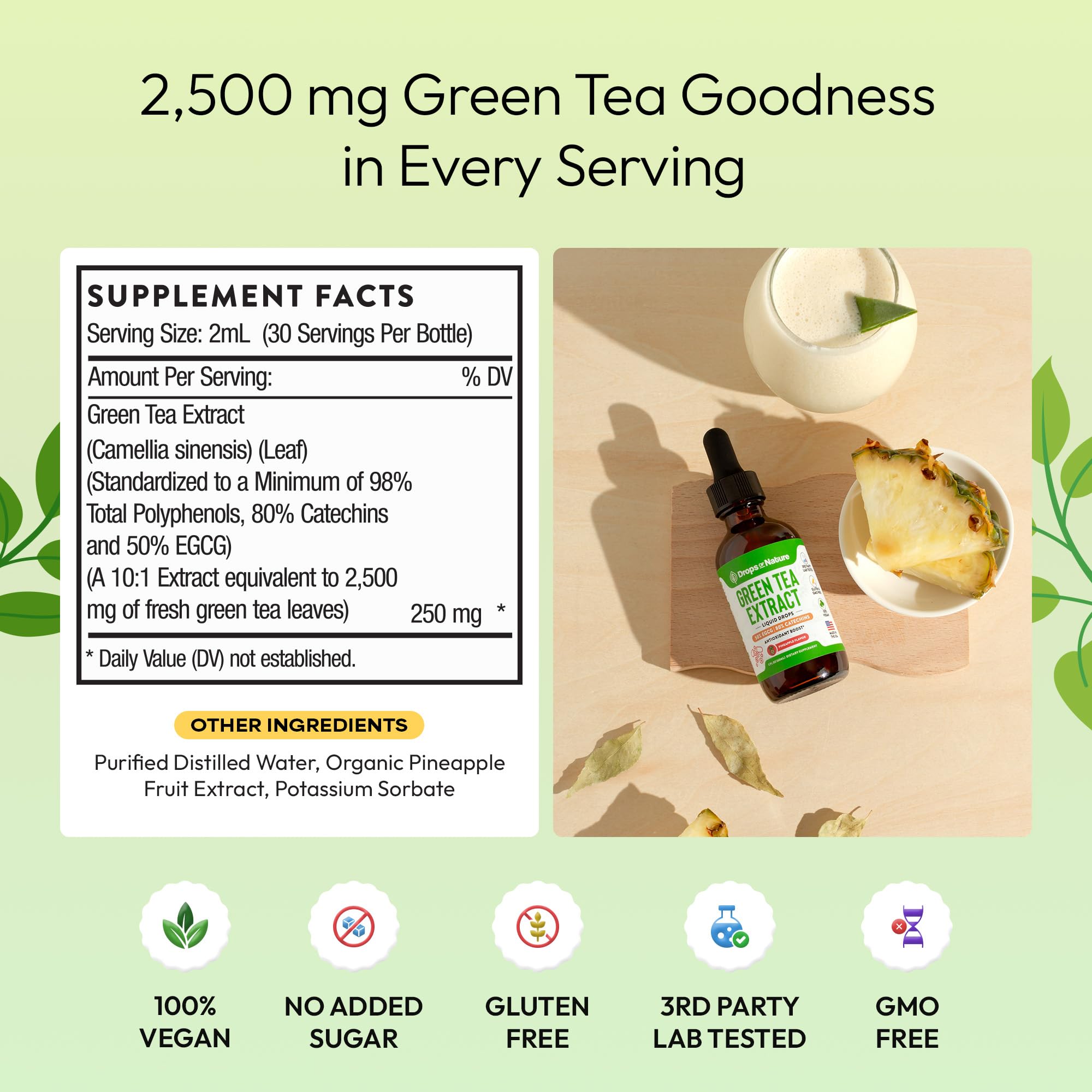 Green Tea 10:1 Extract 50% EGCG Liquid Drops – Vegan Immune & Skin Support