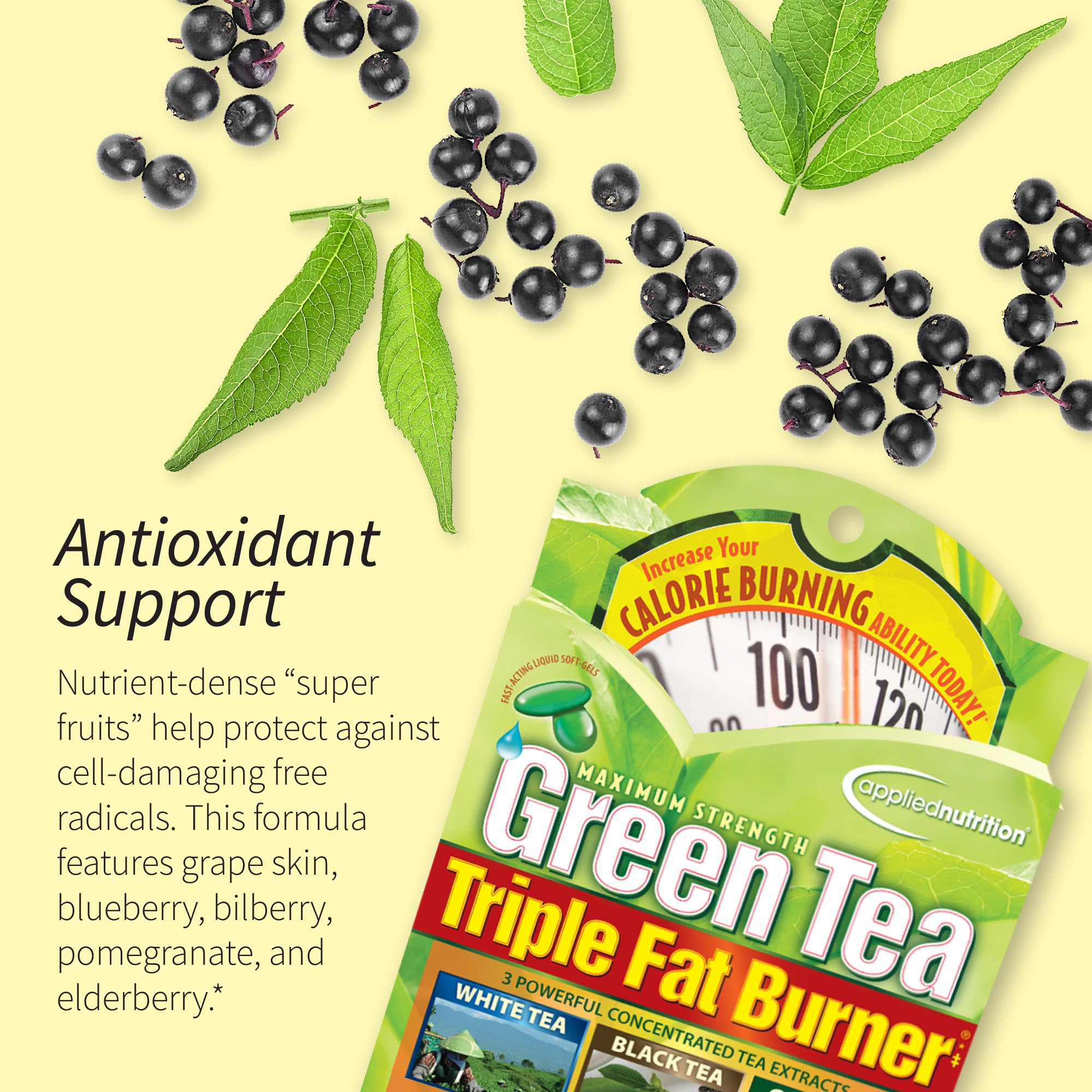 Applied Nutrition Green Tea Fat Burner – EGCG 400 mg + Green Coffee Bean Extract