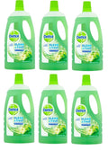 6 x Dettol Power & Fresh Green Apple 1 Litre