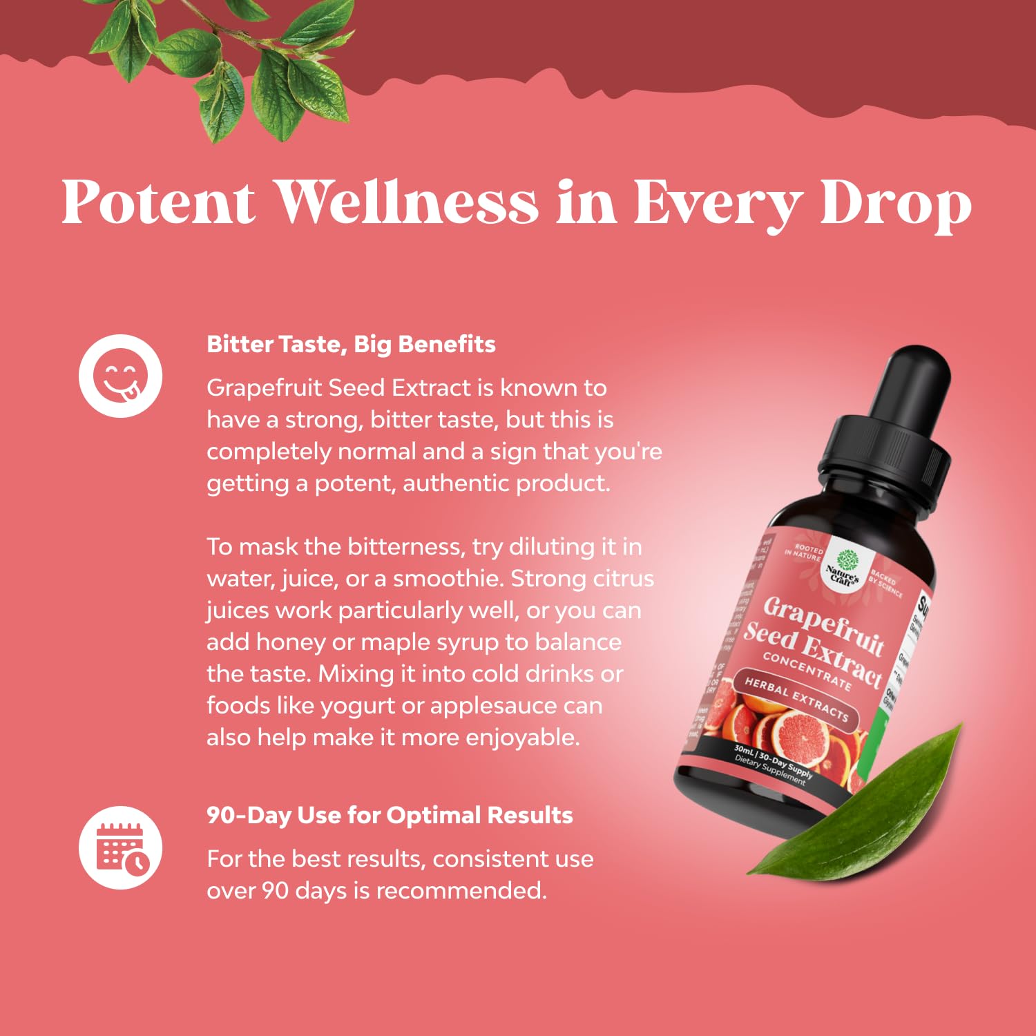 GSE Grapefruit Seed Extract Liquid – One Drop Daily | Gut Health & Immune Support | 2OZ, 60 Servings