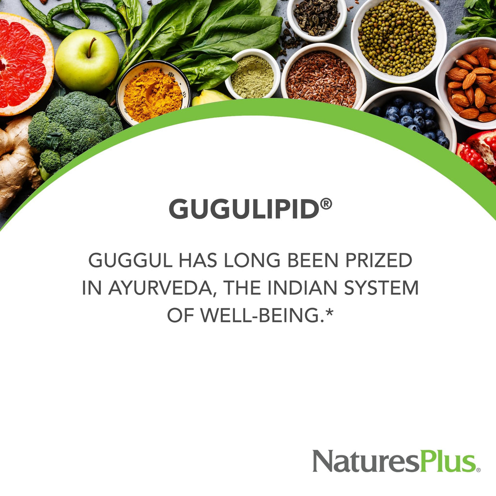 Natures Plus Herbal Actives Gugulipid - 30 Extended-Release Tablets | Ayurvedic Supplement