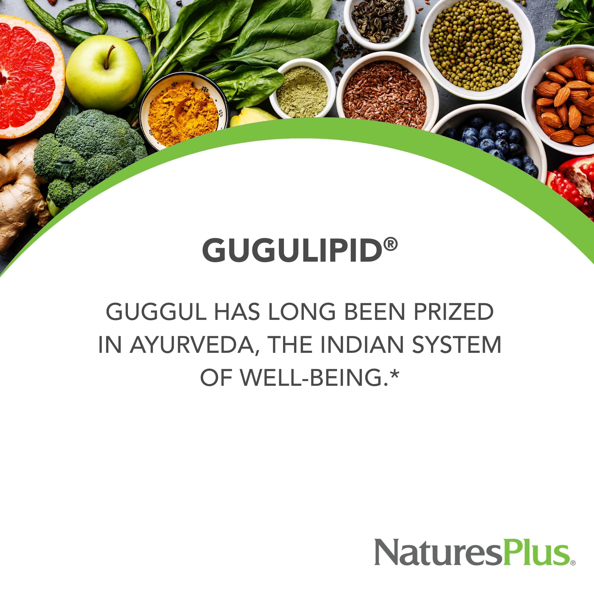 Natures Plus Herbal Actives Gugulipid - 30 Extended-Release Tablets | Ayurvedic Supplement