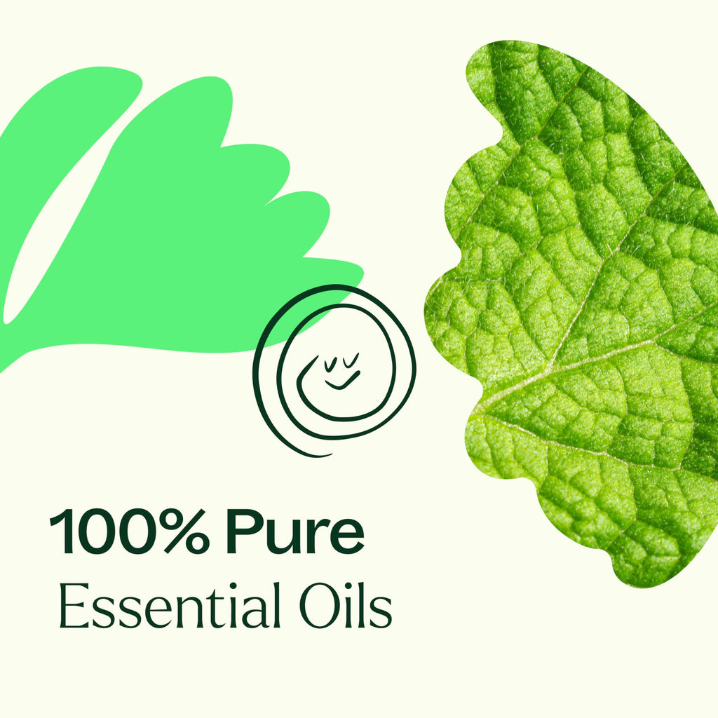 Plant Therapy Gut Aid Essential Oil Blend Roll-On 10 mL – Natural Digestion Support