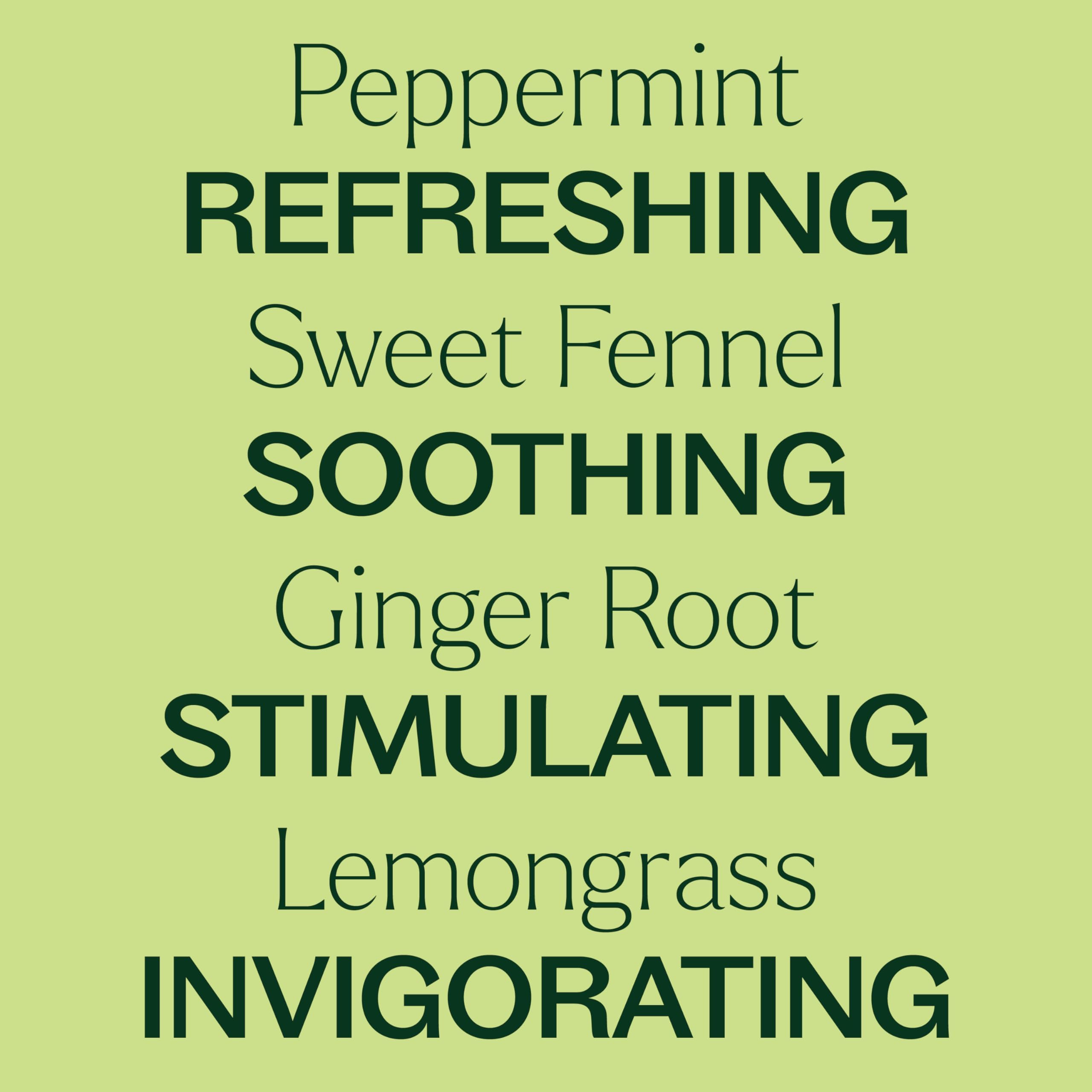 Plant Therapy Gut Aid Essential Oil Blend Roll-On 10 mL – Natural Digestion Support