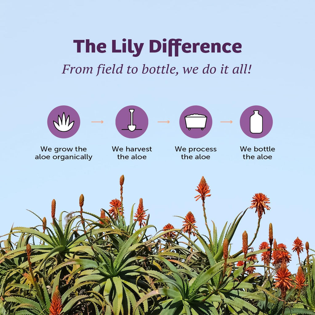 Lily of the Desert Aloe Vera Stomach Formula – Digestive Wellness, 32 oz
