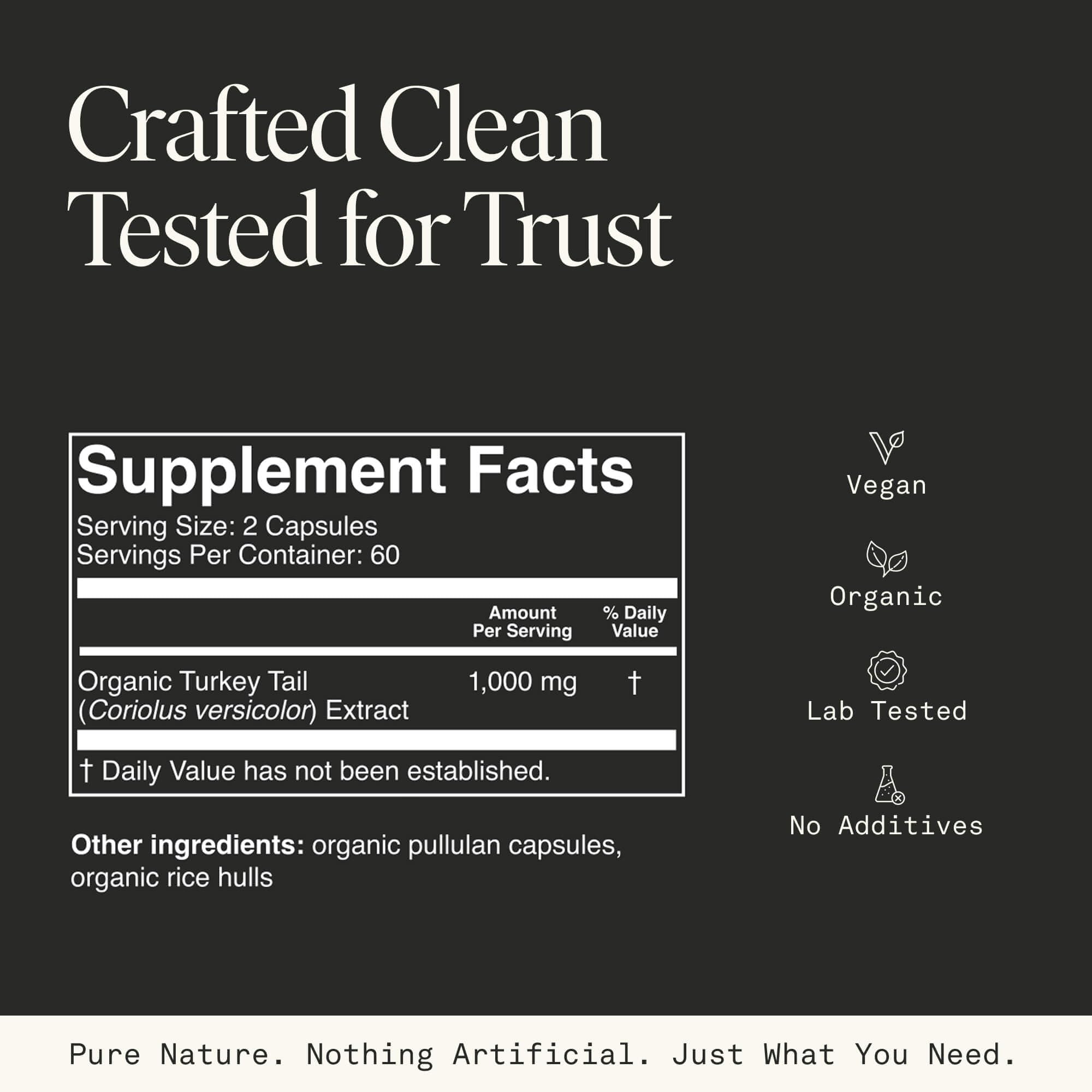 Organic Turkey Tail Mushroom Capsules – Immune & Gut Health (120 Caps, Vegan)