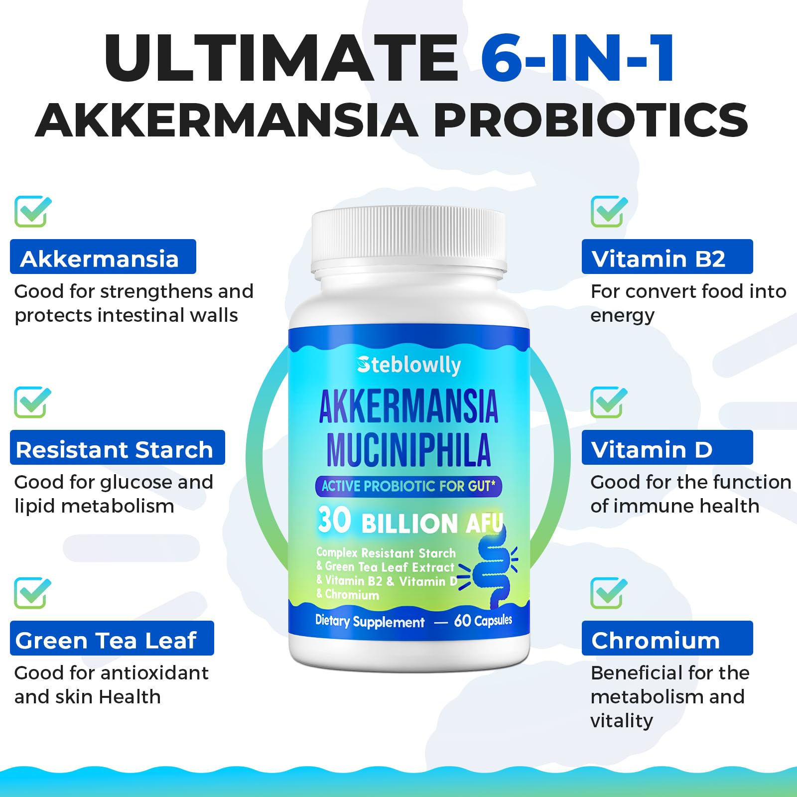 Akkermansia Probiotic with GLP-1 – 60 Capsules for Gut Health