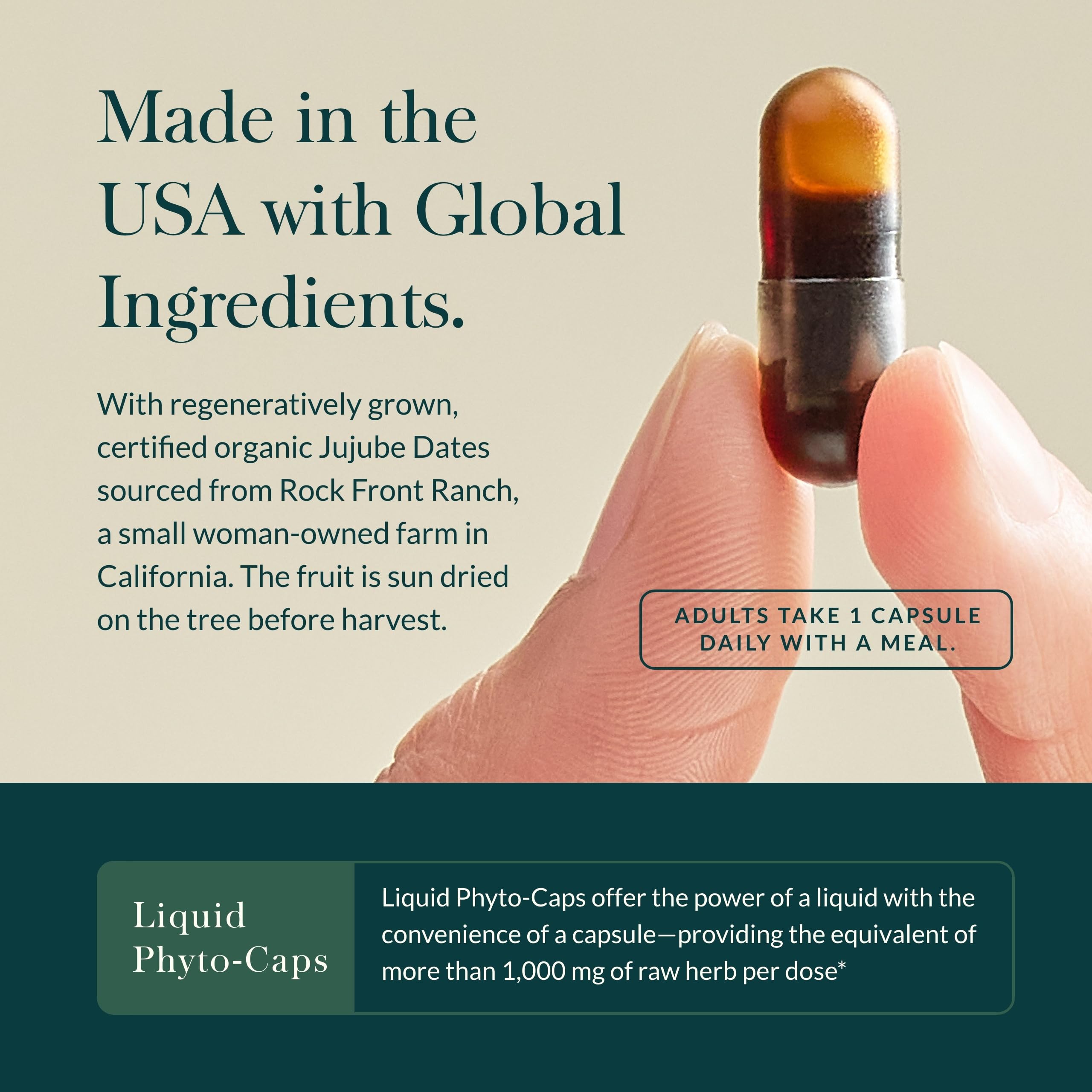 Gaia Herbs Gut Revival - Herbal Digestive Support for Gut Health | 60 Vegan Capsules | Free from Dairy, Soy & Gluten