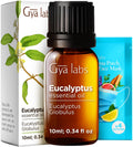 Gya Labs Eucalyptus Essential Oil - 0.34 Fl Oz | Diffuser, Massage, Hair, Skin, Aromatherapy