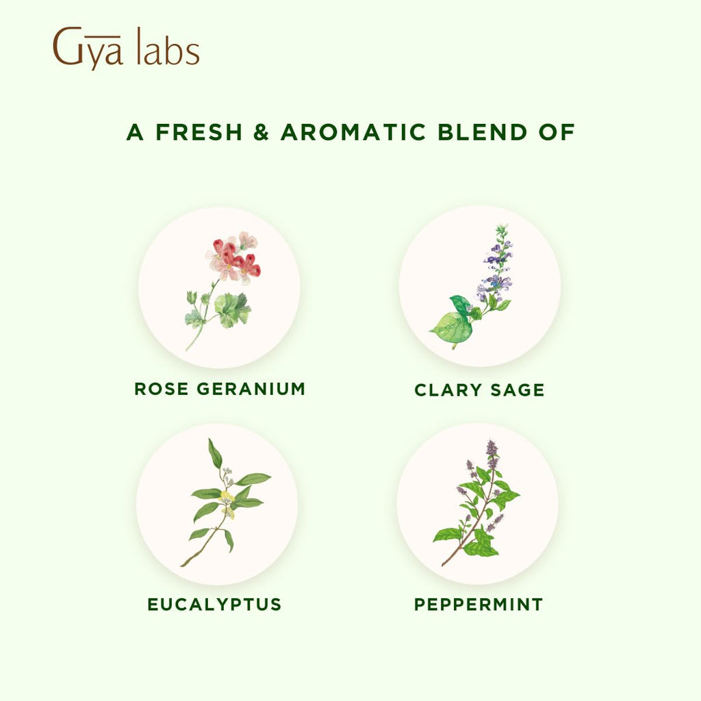 Gya Labs Focus Booster Essential Oil Blend – Fresh Mint Scent (0.34 fl oz)