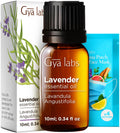 Gya Labs Lavender Essential Oil 0.34 fl oz | Premium Grade for Diffuser, Aromatherapy, Skin & Hair Care, Body Massage & DIY Candles