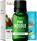 Gya Labs Organic Pine Needle Essential Oil – 0.34 fl oz | Diffuser, Skin, Hair, DIY Candle Making